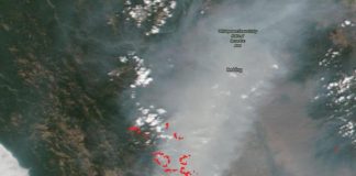 California’s August Complex largest fire in state’s history (TDnews)