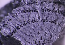 Climate Change: Archaeologists reveal human resilience in the face of climate change in ancient Turkey