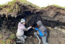 Climate Change: Coastal permafrost more susceptible to climate change than previously thought
