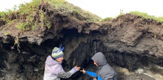 Climate Change: Coastal permafrost more susceptible to climate change than previously thought