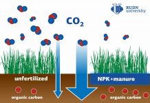 Climate Change: RUDN University soil scientist: Paddy soil fertilization can help reduce greenhouse effect