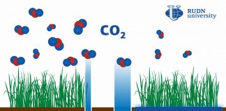 Climate Change: RUDN University soil scientist: Paddy soil fertilization can help reduce greenhouse effect