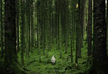 Climate Change: To protect nature’s benefits, focus on people