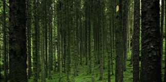 Climate Change: To protect nature’s benefits, focus on people