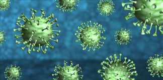 Coronavirus survives on surfaces for 28 days, Researchers Say Coronavirus survives on surfaces for 28 days, Researchers Say