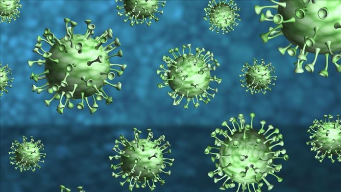 Coronavirus survives on surfaces for 28 days, Researchers Say