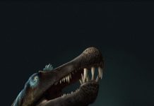 Dino teeth research prove giant predatory dinosaur lived in water (TDnews)