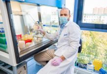 Fly larvae extract will replace antibiotics in fighting plant pathogens (TDnews)