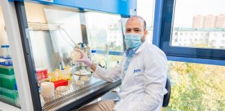 Fly larvae extract will replace antibiotics in fighting plant pathogens (TDnews)