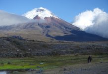 Future climate changes in nature reserves