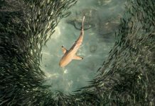 Hunger encourages risk-taking | Science News (TDnews)