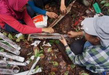 Indonesia’s old and deep peatlands offer an archive of environmental changes (TDnews)