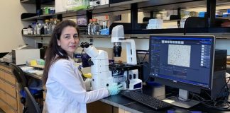 MUSC Hollings Cancer Center researcher receives award to study pediatric brain cancer (TDnews)
