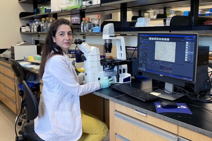 MUSC Hollings Cancer Center researcher receives award to study pediatric