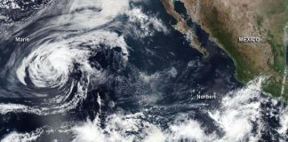 NASA catches development of Tropical Storm Norbert as Marie declines (TDnews)