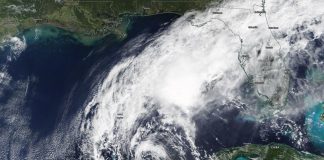 NASA imagery reveals Tropical Storm Gamma battered by wind shear (TDnews)