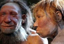 Neanderthal genes may be liability for COVID-19 patients, Researchers Say Neanderthal genes may be liability for COVID-19 patients, Researchers Say