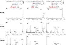 New research supports sofosbuvir in combination with other antivirals for COVID-19 (TDnews)