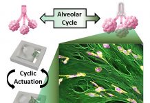 Novel testing platform designed for breast cancer cells (TDnews)