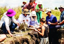 RUDN university summer school of soil sciences covered 5 climatic zones from the barents sea to the (TDnews)