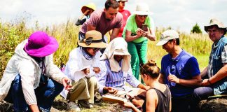 RUDN university summer school of soil sciences covered 5 climatic zones from the barents sea to the (TDnews)