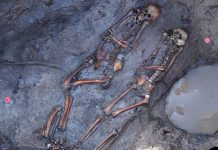 Raids and bloody rituals among ancient steppe nomads (TDnews)