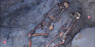 Raids and bloody rituals among ancient steppe nomads (TDnews)