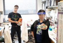 Remote control of blood sugar: Electromagnetic fields treat diabetes in animal models (TDnews)