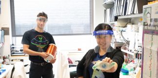 Remote control of blood sugar: Electromagnetic fields treat diabetes in animal models (TDnews)