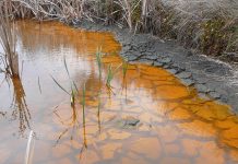 Study: Droughts are threatening global wetlands: new research (TDnews)