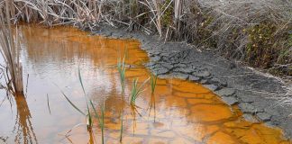 Study: Droughts are threatening global wetlands: new research (TDnews)