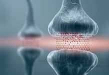 Study: Graphene-based memory resistors show promise for brain-based computing (TDnews)