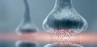 Study: Graphene-based memory resistors show promise for brain-based computing (TDnews)