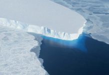 Study: Ice melt projections may underestimate Antarctic contribution to sea level rise (TDnews)