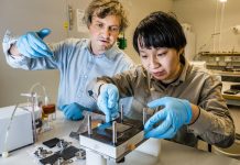 Study: LiU scientists first to develop an organic battery (TDnews)