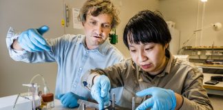 Study: LiU scientists first to develop an organic battery (TDnews)