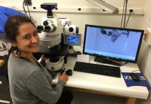Study: Modern computational tools may open a new era for fossil pollen study (TDnews)