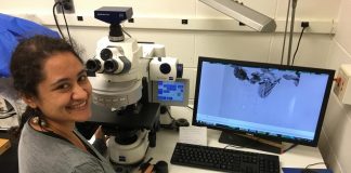 Study: Modern computational tools may open a new era for fossil pollen study (TDnews)