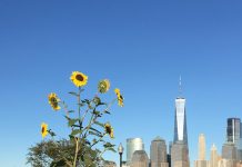 Study: Most nations failing to protect nature in Coronavirus pandemic recovery plans (TDnews)