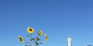 Study: Most nations failing to protect nature in Coronavirus pandemic recovery plans (TDnews)