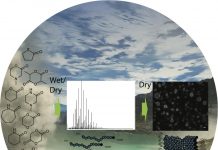 Study: Researchers discover new organic compounds that could have helped form the first cells (TDnews)