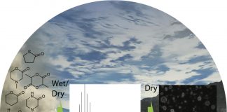 Study: Researchers discover new organic compounds that could have helped form the first cells (TDnews)
