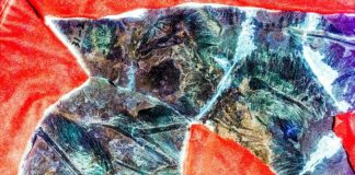 Study: Research reveals bat-winged dinosaurs had short-lived gliding abilities (TDnews)