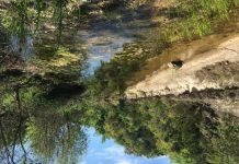 Study: SwRI scientists evaluate impact of wastewater systems on Edwards Aquifer (TDnews)