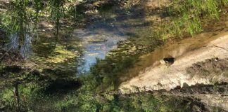 Study: SwRI scientists evaluate impact of wastewater systems on Edwards Aquifer (TDnews)