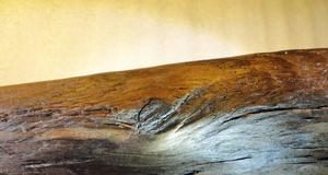 Schöninger spears – mankind’s earliest wooden weapons (TDnews)