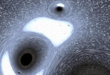 Space: Black hole ‘family portrait’ is most detailed to date