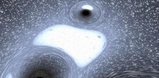 Space: Black hole ‘family portrait’ is most detailed to date