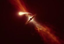 Space: Death by spaghettification: Researchers record last moments of star devoured by black hole
