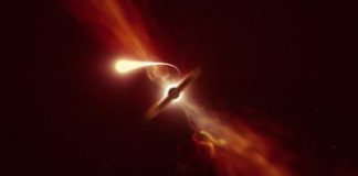 Space: Death by spaghettification: Researchers record last moments of star devoured by black hole